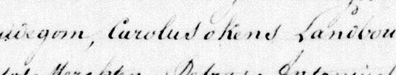 P23, mention du témoin (×3)